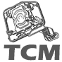 Electronic blocks (TCM) - 0AM (DQ200)