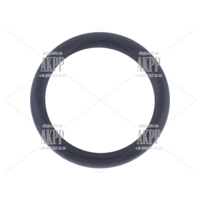  Filler Tube O-Ring  01M 01N 01P 099 96-up 003321419B