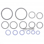 Overhaukl kit  DSI M78 08-up (K012900B)