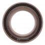 Overhaukl kit  DSI M78 08-up (K012900B)