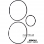 Overhaul kit R5A51 V5A51 97-up 12401D