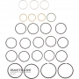 Chrysler 62TE Cast Iron, Plastic, and Teflon Ring Kit AT-SRK-62TE