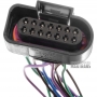 Plug with wires (part of the valve body external wiring) AW TF-60SN 09G 09K 09M 03-up / [14 wires, 14 pins]