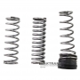 Servo piston metal spring kit 5R55N/W