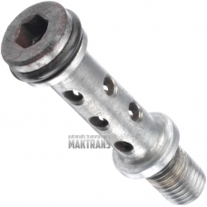 Heat exchanger Banjo fixing bolt VAG 01M / 01M409066 096409069A / [total length 69.15 mm, thread length 19 mm (outer Ø 11.85 mm)]