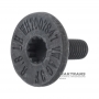 Oil pump driven gear bolt VAG DSG DQ381 0GC - WHT007847