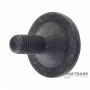 Oil pump driven gear bolt VAG DSG DQ381 0GC - WHT007847