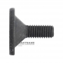 Oil pump driven gear bolt VAG DSG DQ381 0GC - WHT007847