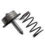 Drum brake piston F2 Clutch DP0 - 7700874819 231913 (rod length 76.90 mm (Ø 11.95 mm)