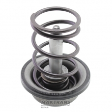 Drum brake piston F2 Clutch DP0 - 7700874819 231913 (rod length 76.90 mm (Ø 11.95 mm)