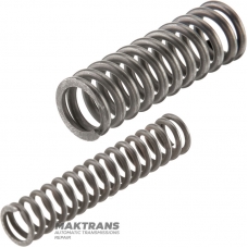 Rotary oil pump housing damper spring kit GM 4L60 24231039 - 2 springs included