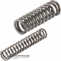 Rotary oil pump housing damper spring kit GM 4L60 24231039 - 2 springs included