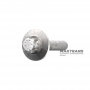 Aluminum oil pan mounting bolt NISSAN GE9R01A / JATCO JR913E, Mercedes-Benz 725.0 A0029909503 – M6 X 30 mm