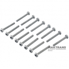 Set of oil pump cover mounting bolts NISSAN GE9R01A / JATCO JR913E, Mercedes-Benz 725.0 N 000000 001425 N000000001425 - 16 pcs. in a set (M6 X 50 mm)