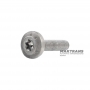 Aluminum bolt NISSAN GE9R01A / JATCO JR913E, Mercedes-Benz 725.0 – M6 X 25 mm