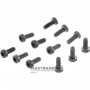 Set of bolts for fastening the board (wiring) of solenoids VAG DQ381 0GC - 12 bolts per set (M4 x 10 mm)