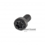 Set of bolts for fastening the board (wiring) of solenoids VAG DQ381 0GC - 12 bolts per set (M4 x 10 mm)