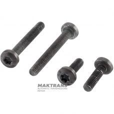 Electronic unit bolt kit VAG DQ381 0GC - 2 bolts (M6 x 20 mm) / 2 bolts (M6 x 45 mm)