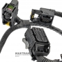Transmission Wiring FORD Focus 1.6 / GETRAG DPS6 DCT250 FV6P-7000-GC — 5222520 BV6P-7G276-AB 2500607200 2507060021