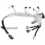 Wiring of hydraulic unit (with temperature sensor) GM 8L45 — 24298757