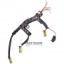 Wiring of hydraulic unit (part) FORD 5R110W — 3C3Z-7G276-AA (4 connectors — 2 pins)