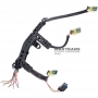 Wiring of hydraulic unit (part) FORD 5R110W — 3C3Z-7G276-AA (4 connectors — 2 pins)