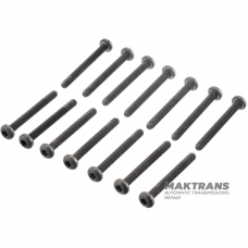 Set of valve body mounting bolts VAG 01M 01N 01P N10194302 - 13 bolts (M6), bolt length 55 mm