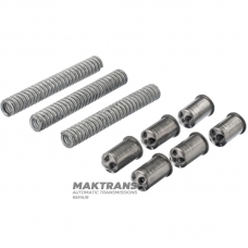 Set of return springs B2 Brake VAG 01M (for a pack of 6 friction discs) - 01M323505A, 01M323505, 097323515, 01M323505A