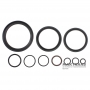 A518 Servo Rubber Seal Kit (46RE, 46RH)
