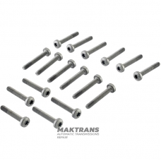 Mercedes-Benz 725.0 Hybrid Front Cover Fastening Bolt Kit, A0089902504 - 17 Bolts Included (M6x40)