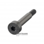 5-7 shift fork support bracket bolt VAG DSG 0CK, 0CL, 0СJ (DL382) — WHT006411 (M6 x 45)