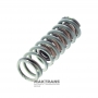 Set of return springs for the piston of the hydraulic accumulator C1 Clutch 9050121040, 9050120173 - outer spring (length 48.40 mm, rod diameter 2.15 mm), inner spring (length 30.30 mm, rod diameter 2 mm)
