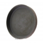 Differential Satellite Cap VAG 09P, Aisin Warner AQ450-8F/A