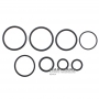 Seals other set of rubber rings 6R60