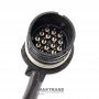 Valve body wiring ZF 5HP24 - BMW 1732370 (BMW X5 E53), 16 pin connector