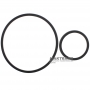 Set of rubber rings C2 Clutch SR8AT300F LANDWIND X5 X7