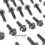 Set of bolts for fastening the pressure plate of the torque converter lockup ALLISON 4000 – 29514683, 44 bolts in a set (bolt length 25 mm, outer Ø 7.80 mm)