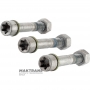 BorgWarner BW4440 Transfer Case Driveshaft Bolt Kit - CHRYSLER 300 V6 3.6L, 845RFE Transmission, 6509996AA, 6509429AA, 6509330AA, 6509995AA