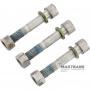 BorgWarner BW4440 Transfer Case Driveshaft Bolt Kit - CHRYSLER 300 V6 3.6L, 845RFE Transmission, 6509996AA, 6509429AA, 6509330AA, 6509995AA