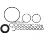 Seals other set of rubber rings 45RFE 545RFE