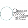 Other seals, Set of rubber rings AW450-43LE