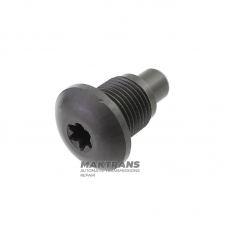 PORSCHE Panamera PDK shift fork retainer bolt, ZF 7DT-75 — bolt length 29 mm, outer thread diameter 17.70 mm