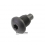 PORSCHE Panamera PDK shift fork retainer bolt, ZF 7DT-75 — bolt length 29 mm, outer thread diameter 17.70 mm