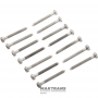 Set of front cover bolts ZF 8HP45, 8HP50, 8HP70, 8HP75, 8HP55A, 8HP65A - 14 bolts in a set (bolt length 74 mm, outer Ø 7.85 mm)
