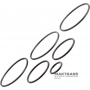 Ford 8F24 Teflon Ring Kit - 7 Rings in a Set