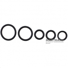 Seals and other rubber ring kit 6HP19