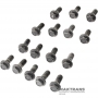 Set of bolts for fastening the helical gear of the differential FORD 6F50, 6F55 - 16 bolts in a set (ext. Ø 9.85 mm, bolt length 25 mm, 12.90)