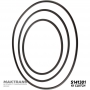 Mercedes-Benz 722.6 Gasket Set - 1996-up
