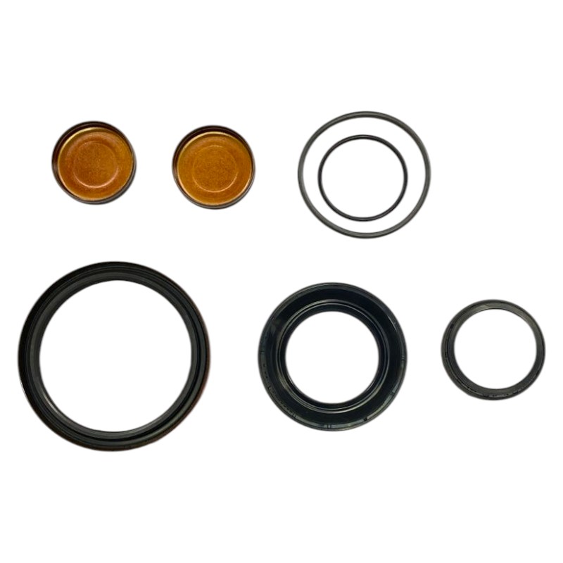 A set of seals and plugs for servicing the 4WD 6DCT451 MPSi differential