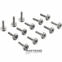 ZF 8HP45, 8HP70, 8HP65A, 8HP90, 8HP90A Plastic Oil Pan Bolt Set - 13 Bolts Per Set